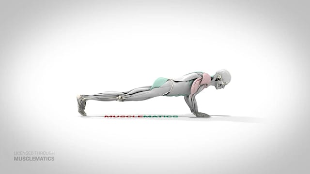 Diamond Triceps Push-Up - (View 2)