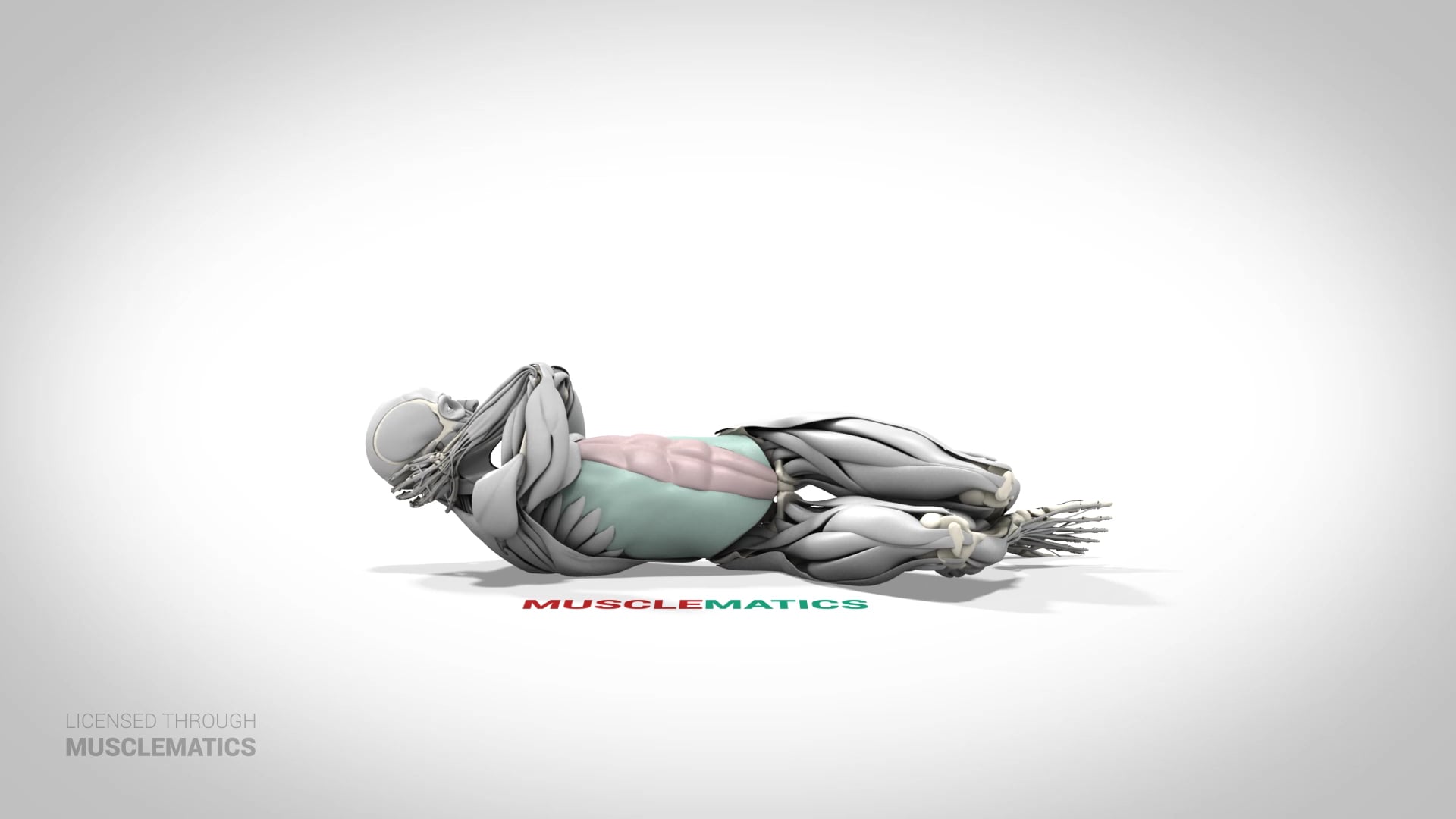 Side Crunch - (View 2) - LEFT