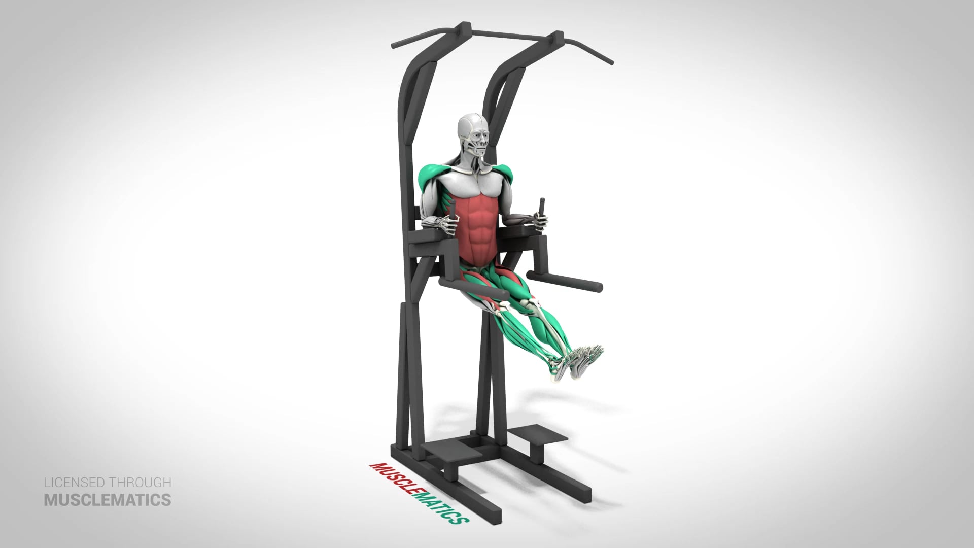 Leg Raises (Straight Leg) - (View 2)