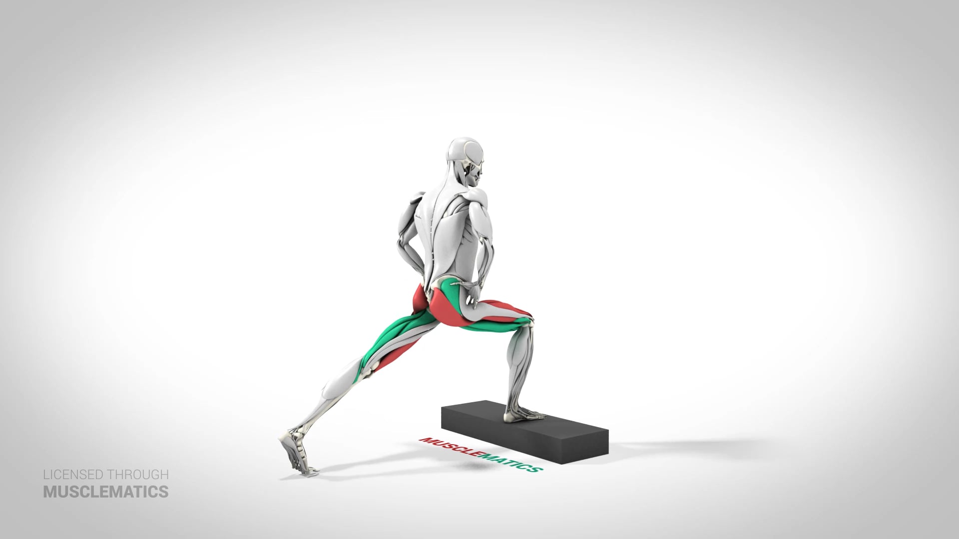 Step-Down Reverse Lunge - (View 3)