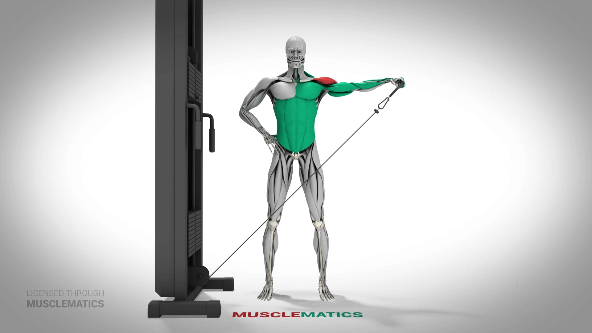 Low-Pulley Lateral Raises - (All Views) - LEFT
