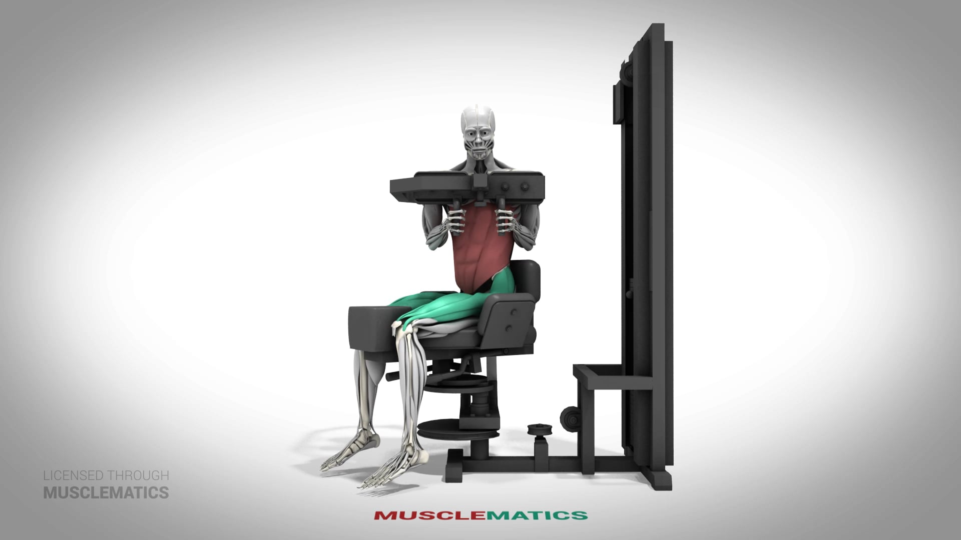 Machine Trunk Rotations - (All Views)