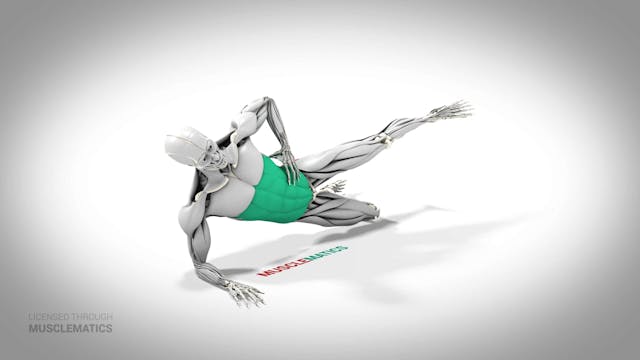 Side-Lying Hip Raise - (All Views) - ...