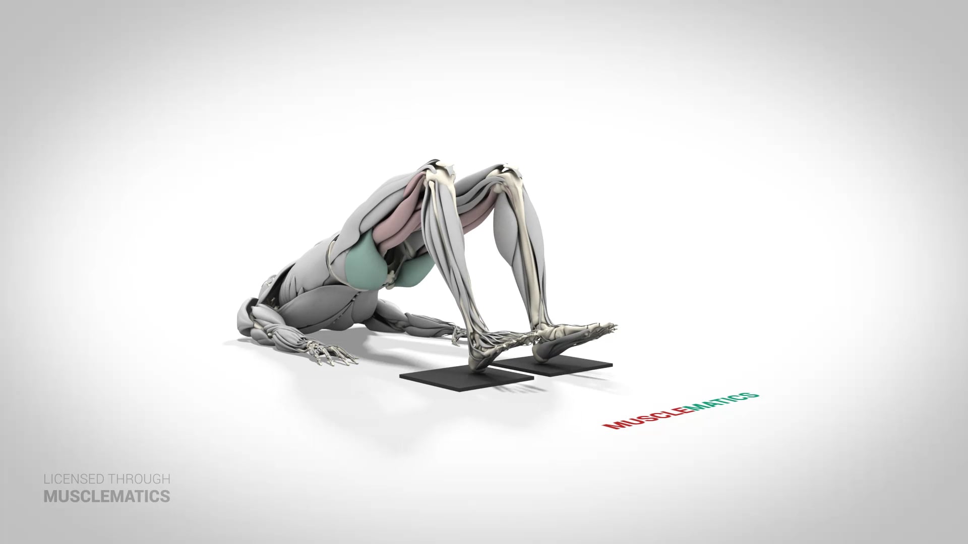 Sliding Leg Curl - (View 1)