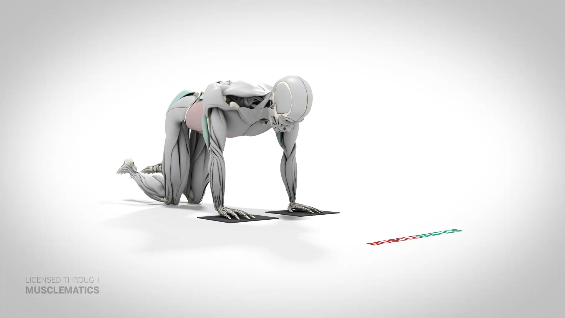 Sliding Rollout On Knees - (View 1)