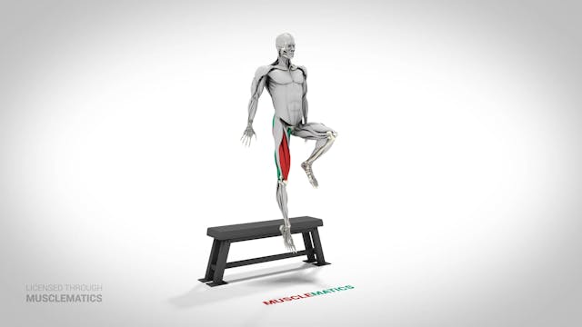 Jumping Single-Leg Box Squat - (View 2)