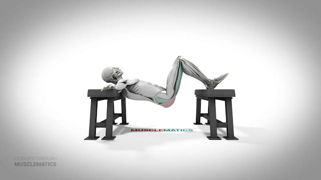 Elevated Hip Thrust - (All Views)