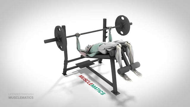 Decline Presses - (View 1)