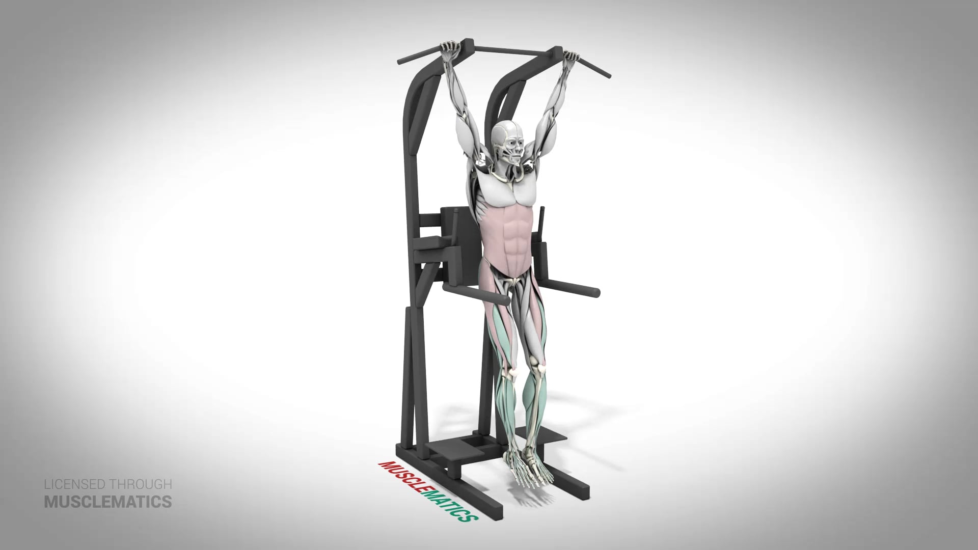 Hanging Leg Raises (Bent Leg) - (All Views)