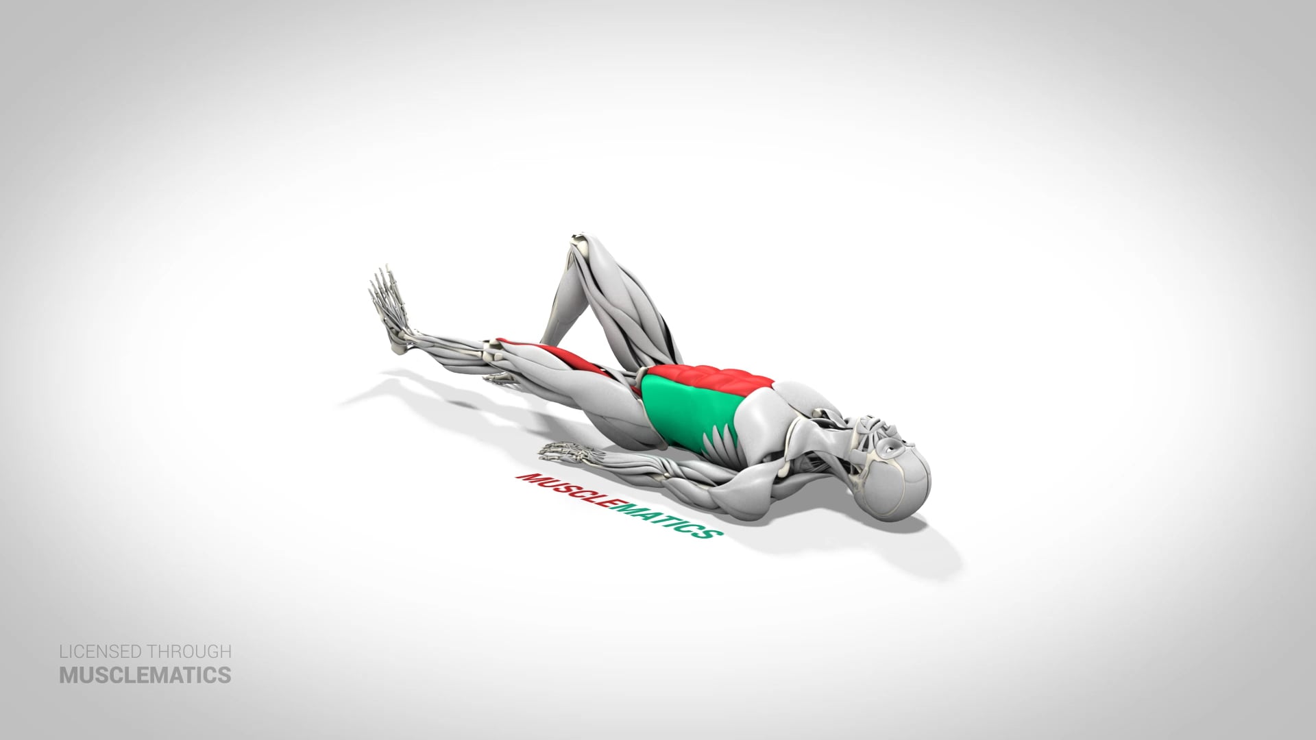 Bent-Knee Single-Leg Lowering With Extension - (View 2) - LEFT