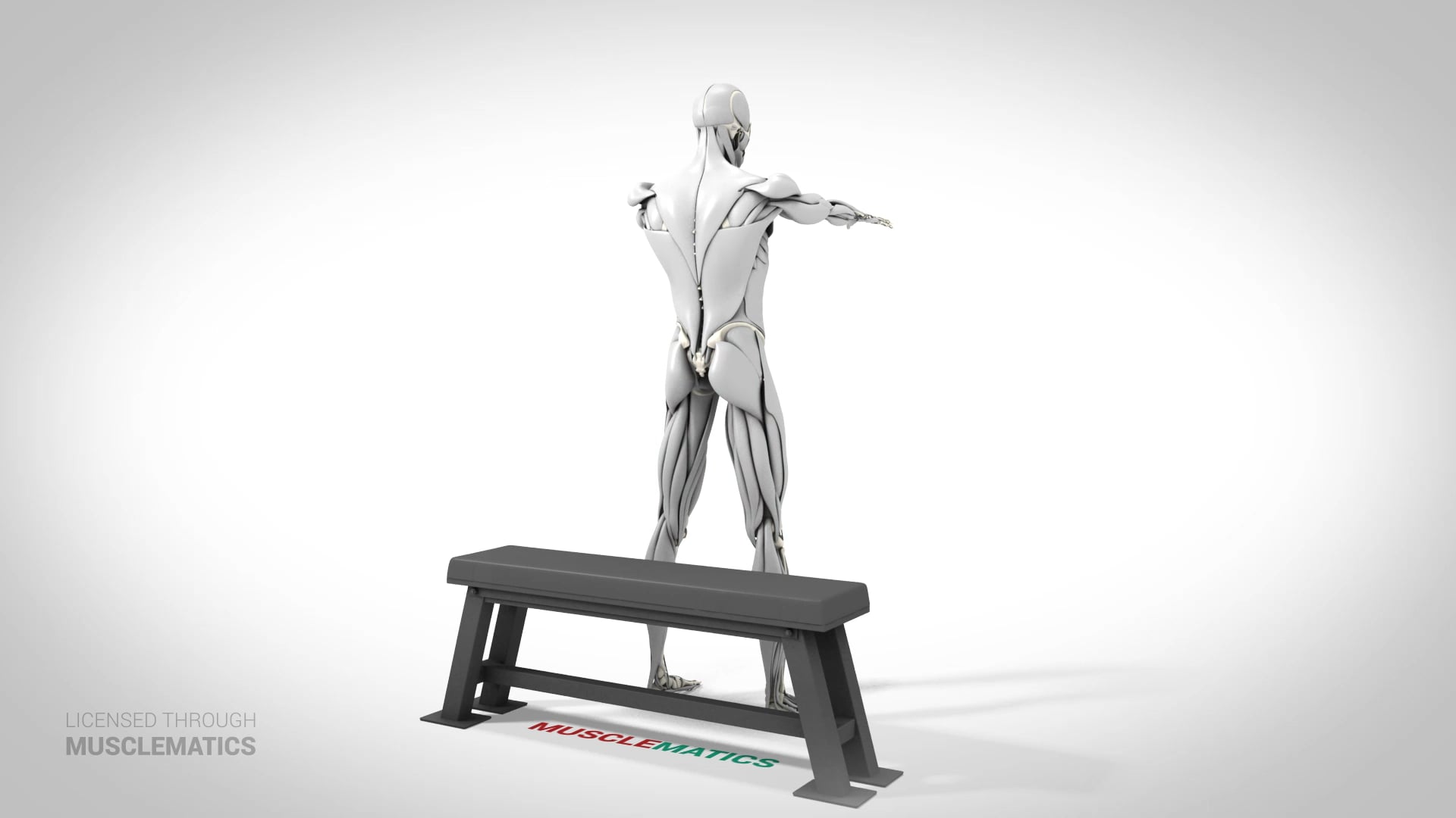 Box Squat - (View 3)