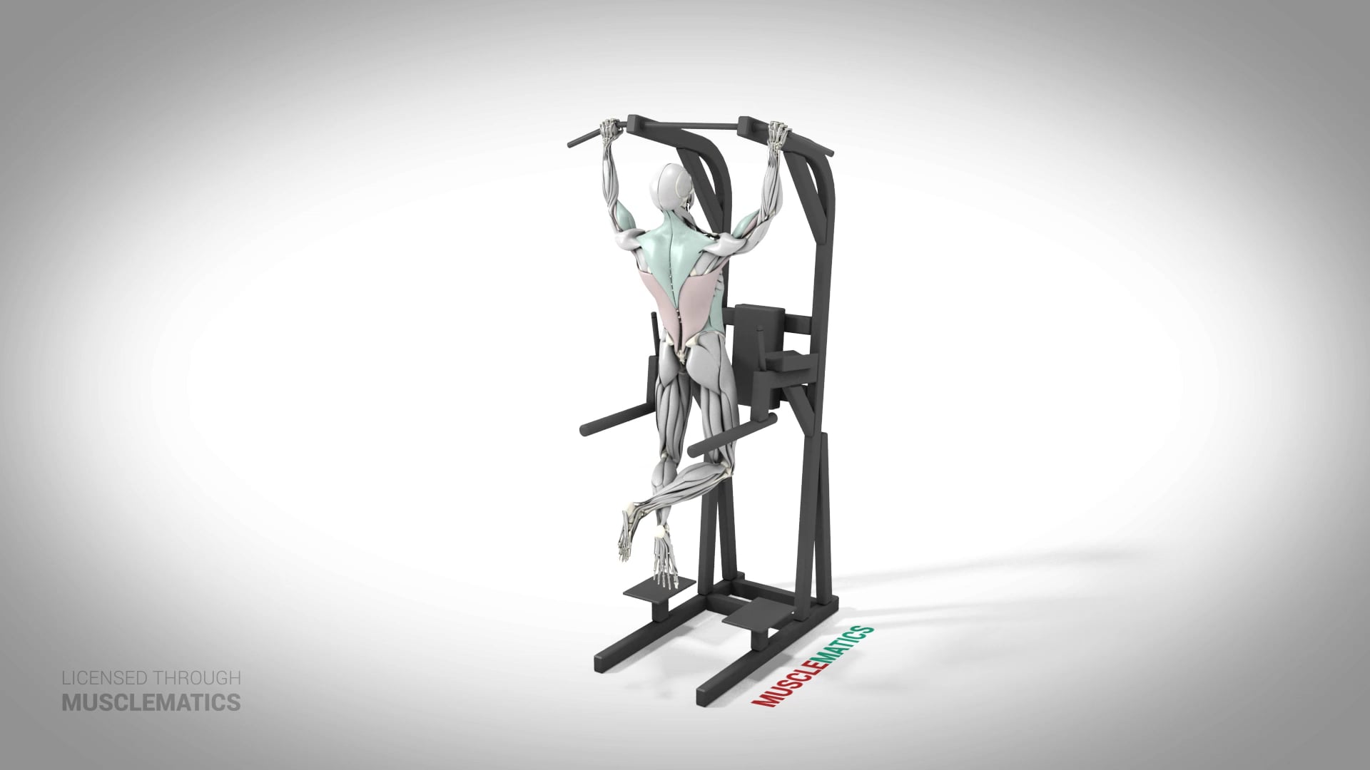 Sliding Side-To-Side Pull-Up - (All Views)