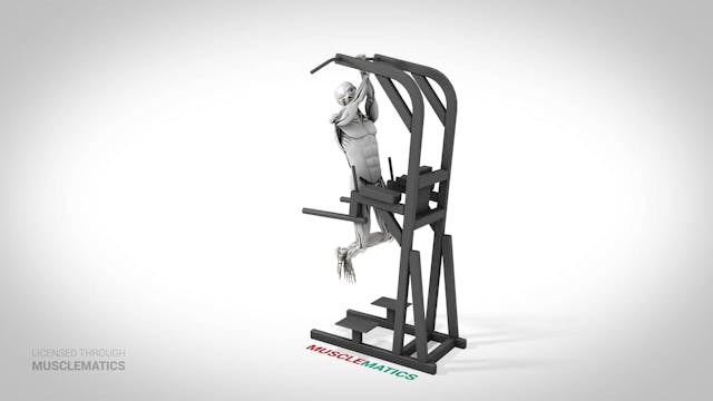 One-Arm Self-Assisted Pull-Up - (View...