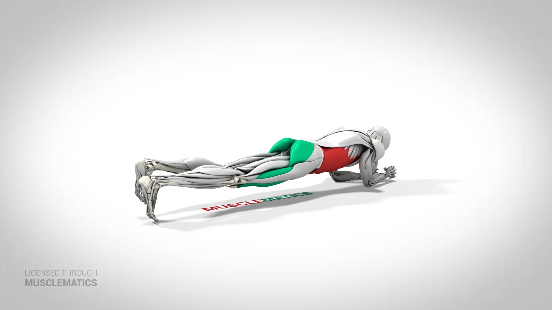 Rotating Two-Point Plank - (View 2)