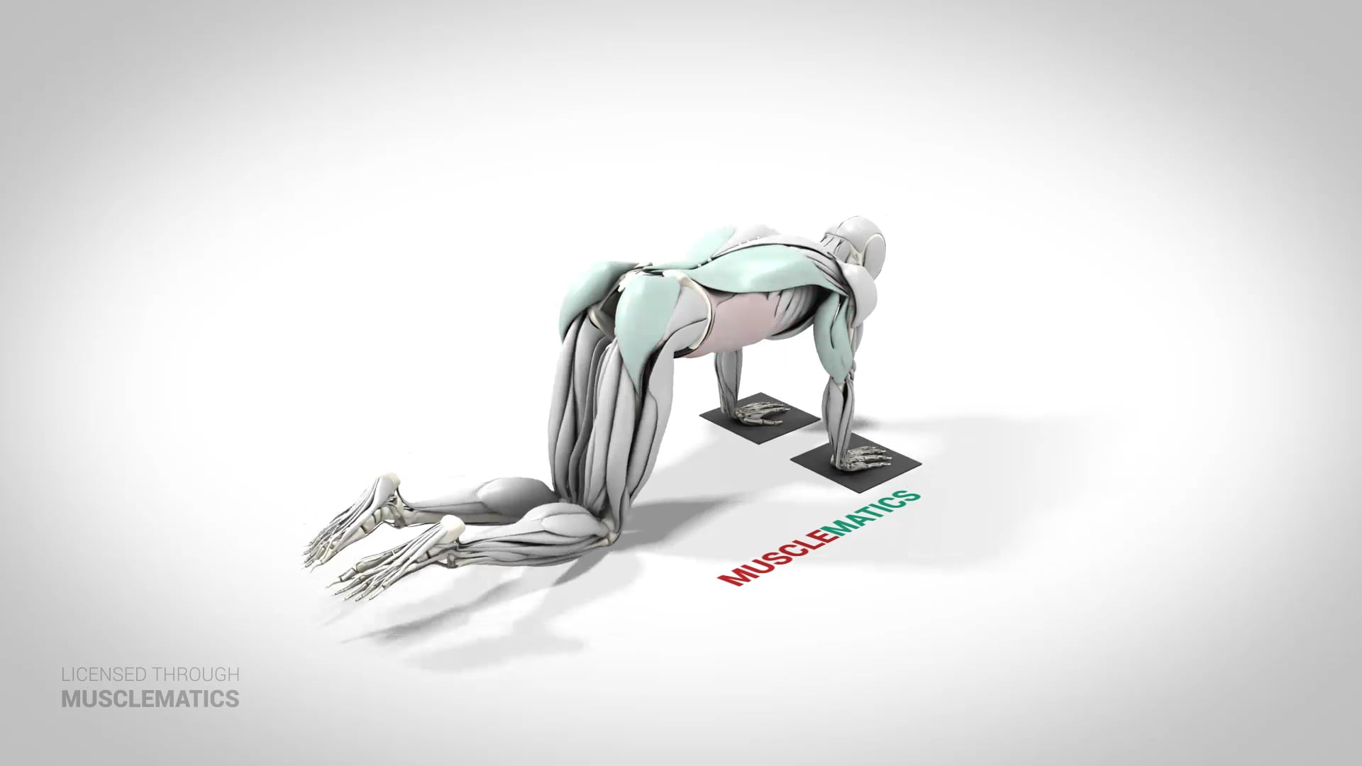 Sliding Rollout On Knees - (View 3)