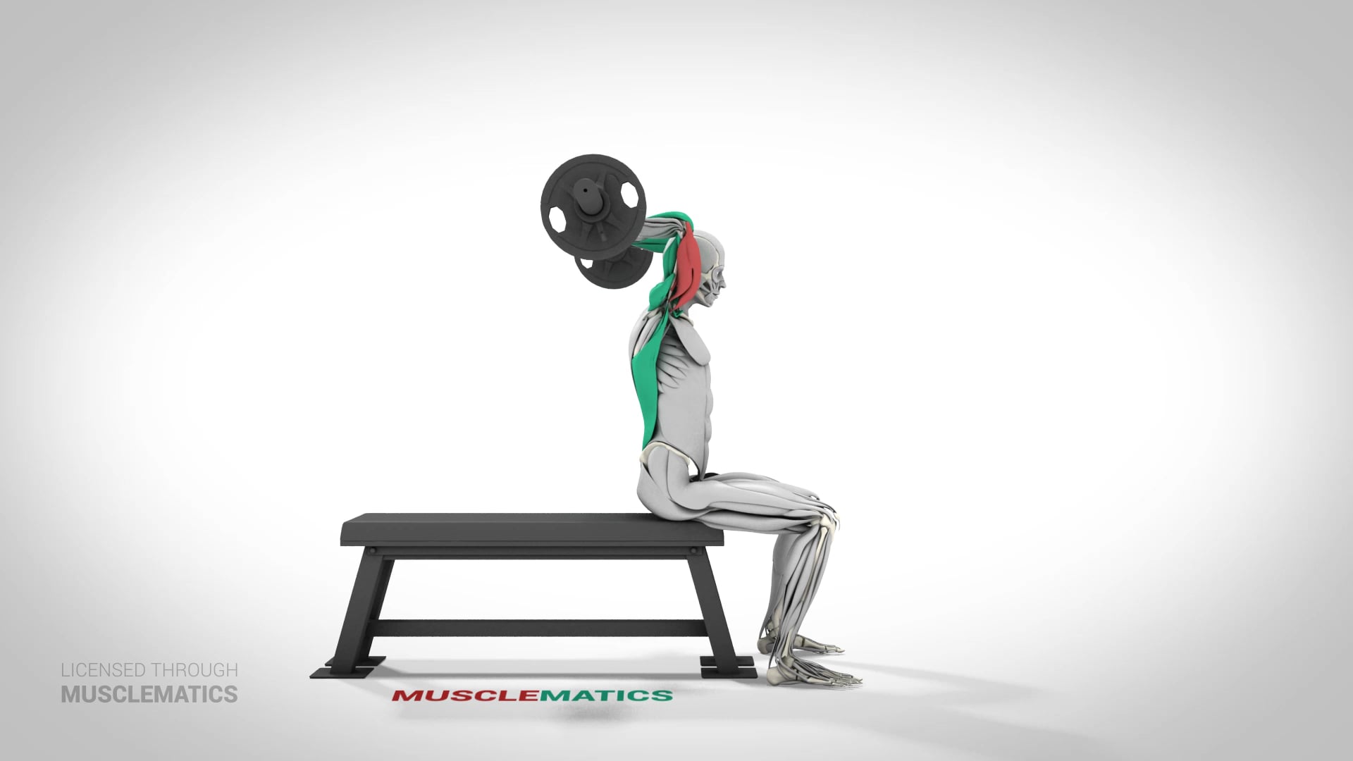 Seated E-Z Bar Triceps Extensions - (View 1)