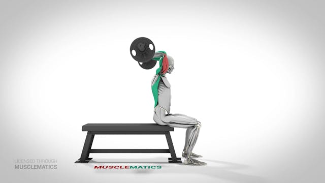 Seated E-Z Bar Triceps Extensions - (...