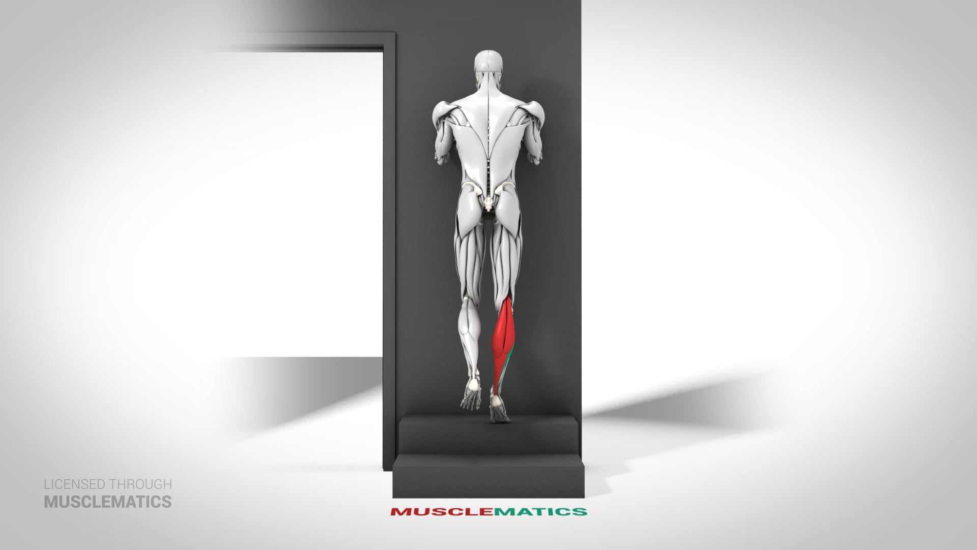 Single-Leg Elevated Calf Raise - (View 1)