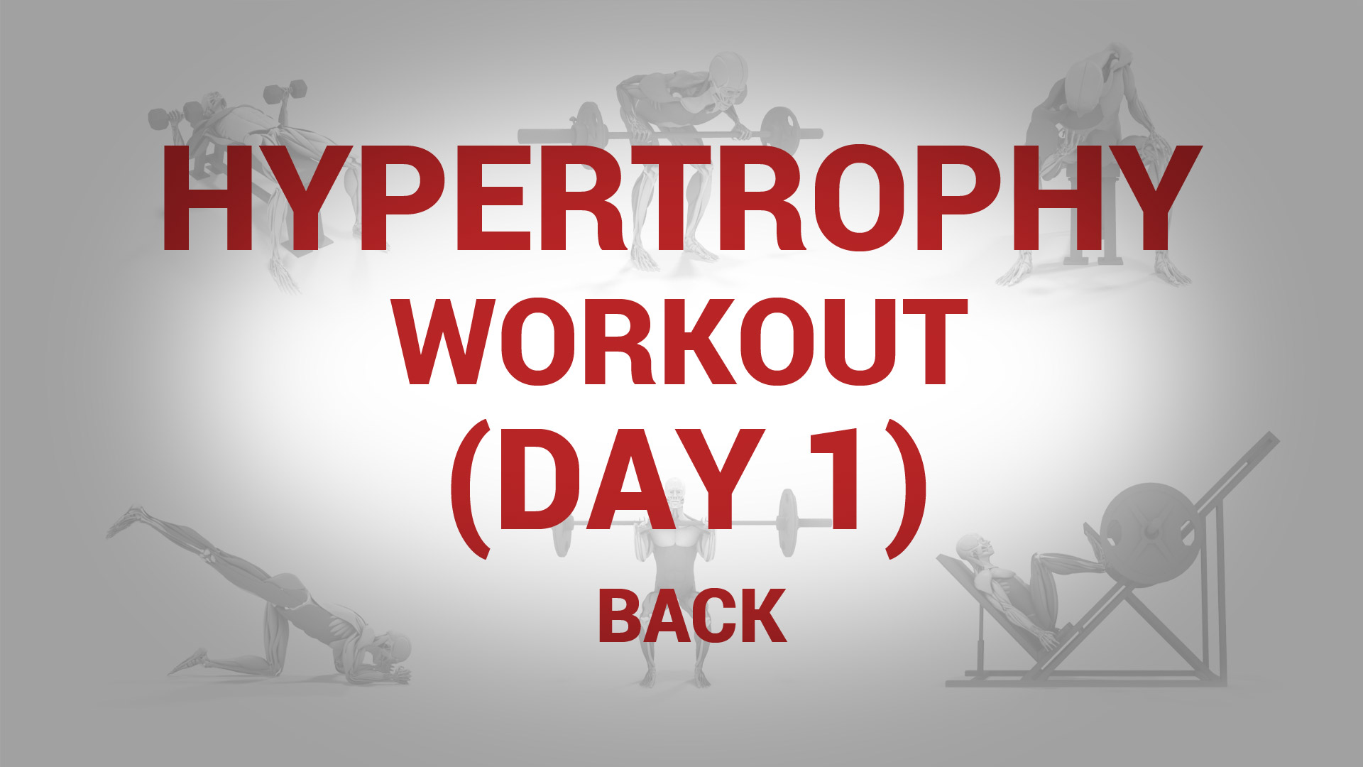 Hypertrophy Workout (Day 1) - BACK