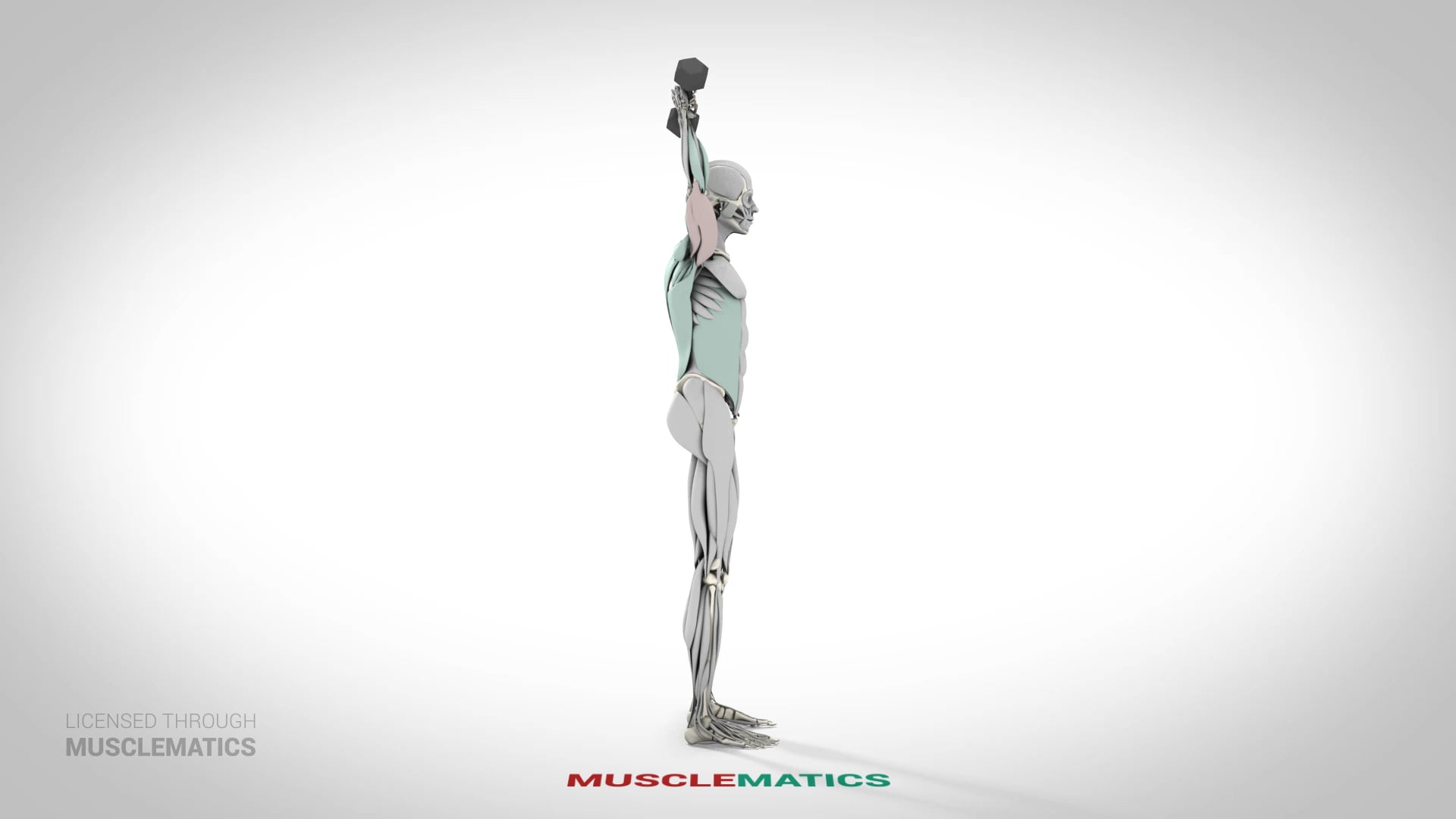 One-Arm Dumbbell Triceps Extensions - (View 2)