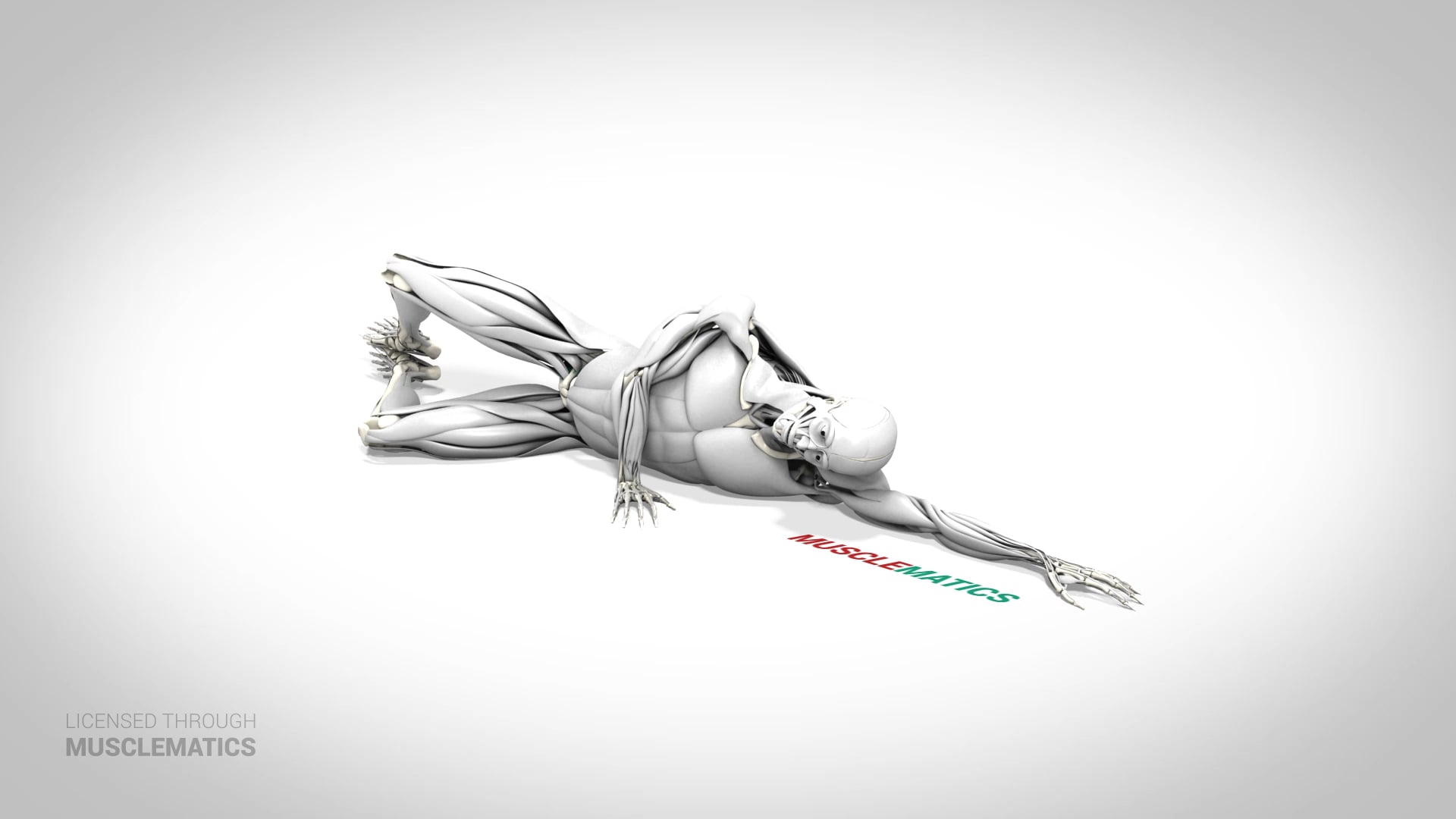 Side-Lying Clam - (View 2)