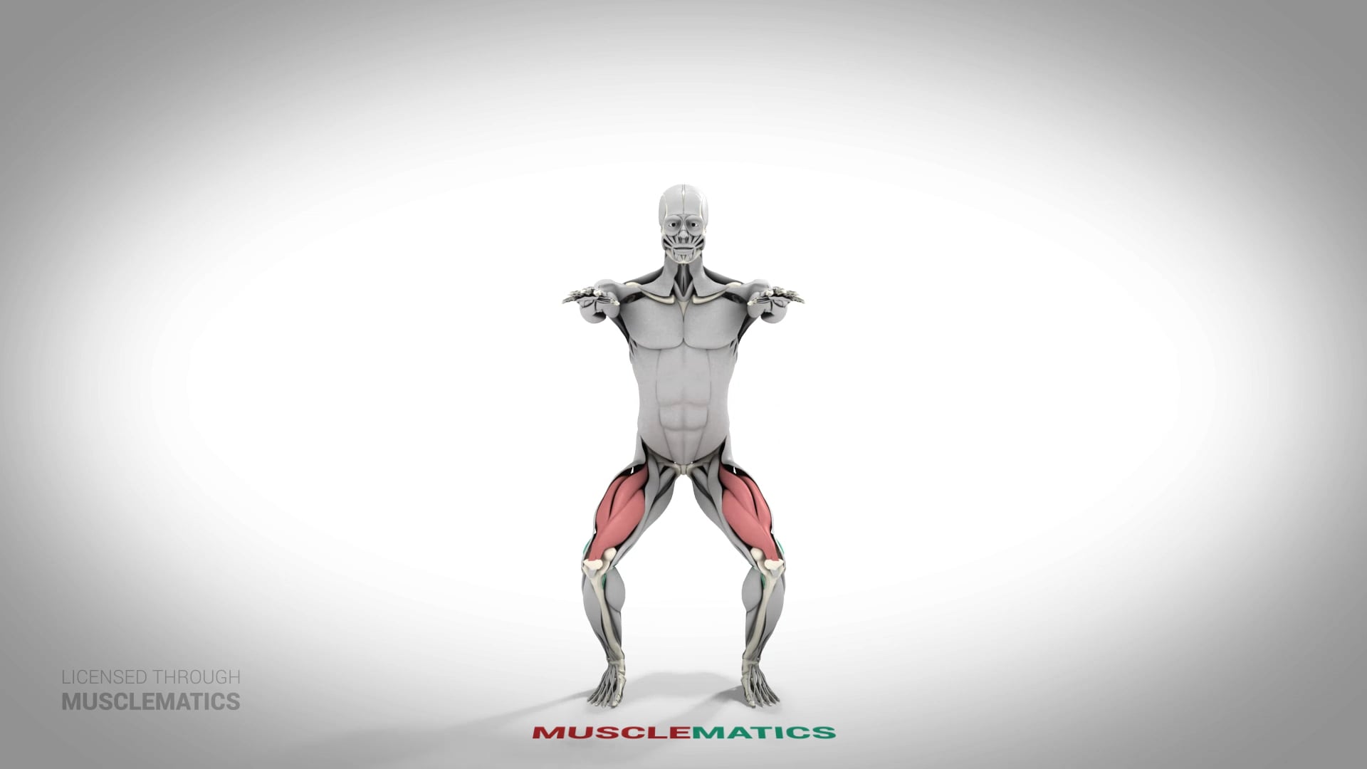 Full Squat - (All Views)