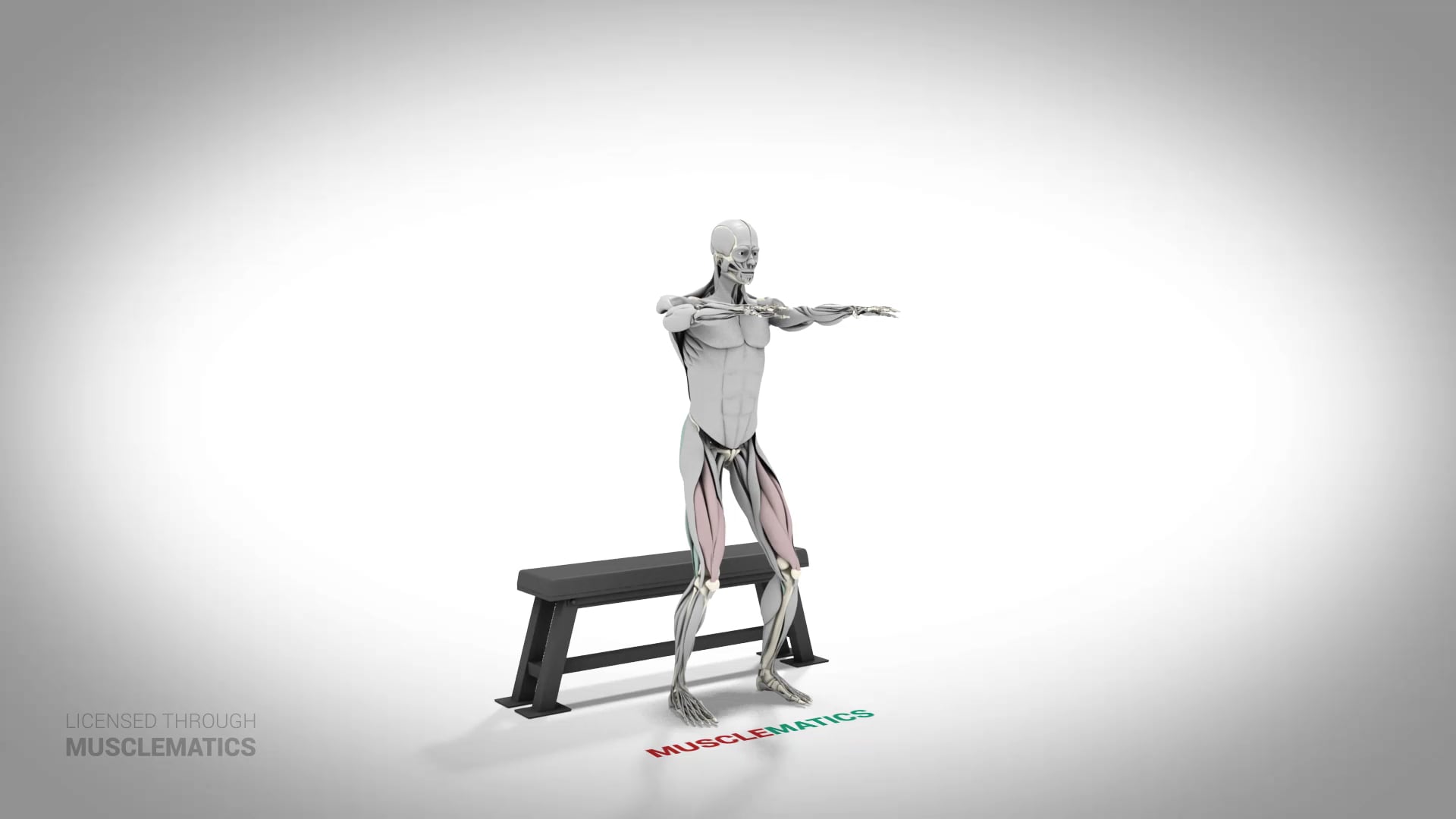 Jump Box Squat - (All Views)