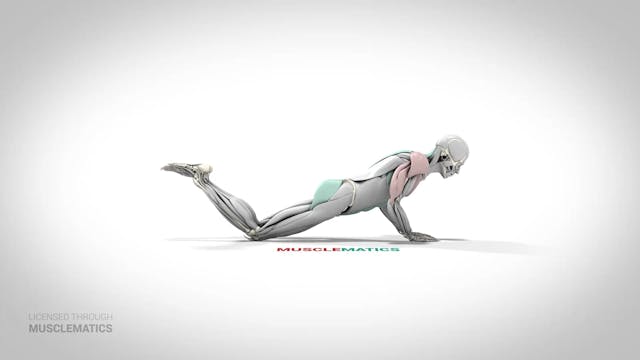 Diamond Triceps Push-Up On Knees - (V...