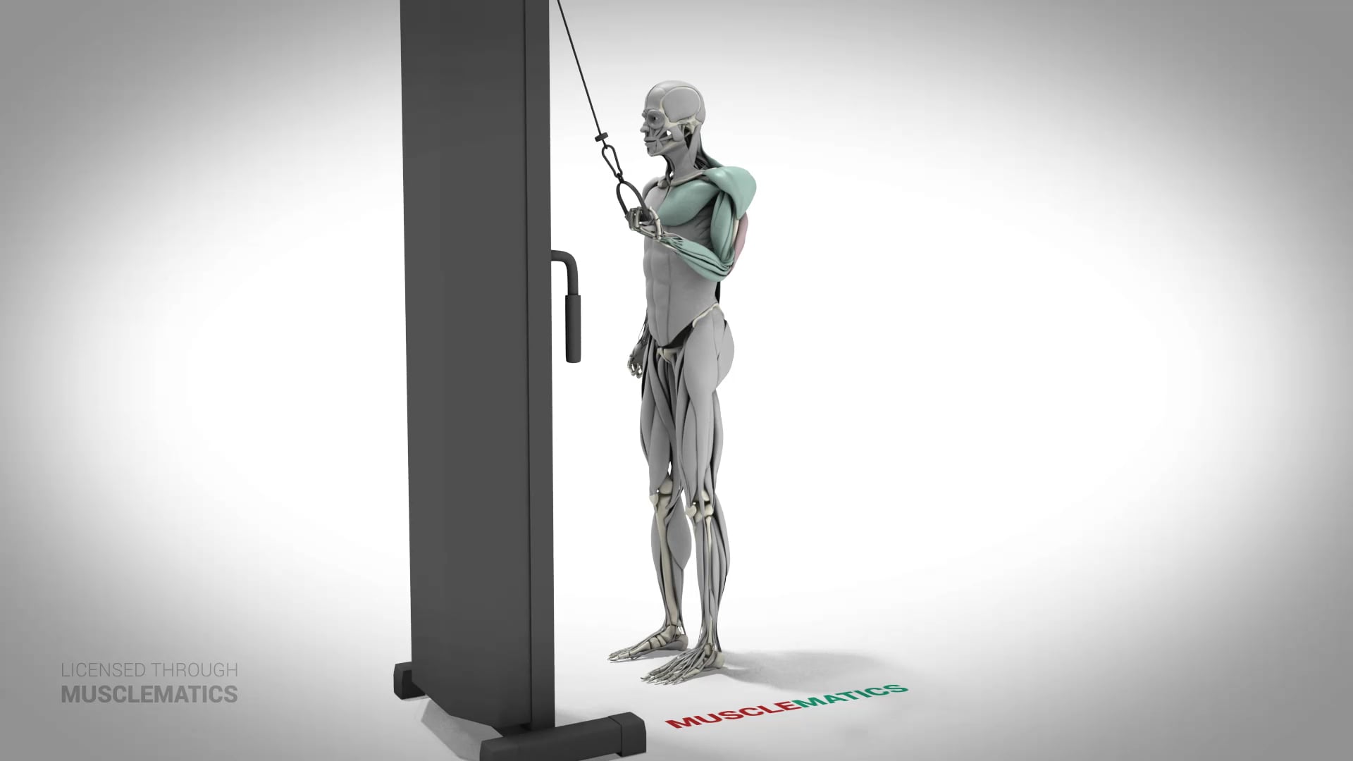 One-Arm Reverse Push-Downs - (All Views) - LEFT