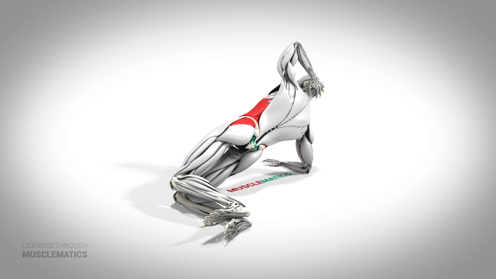 Side Plank On Knees - (All Views) - LEFT