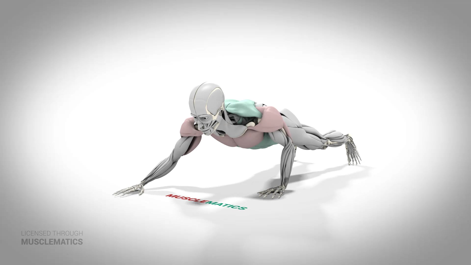 Self-Assisted One-Arm Push-Up - (All Views) - LEFT