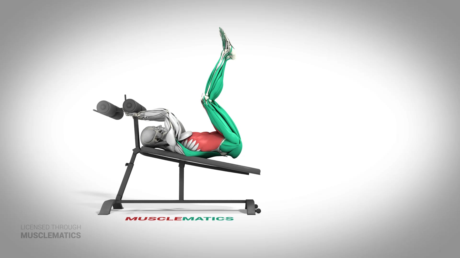 Incline Leg Raises - (All Views)