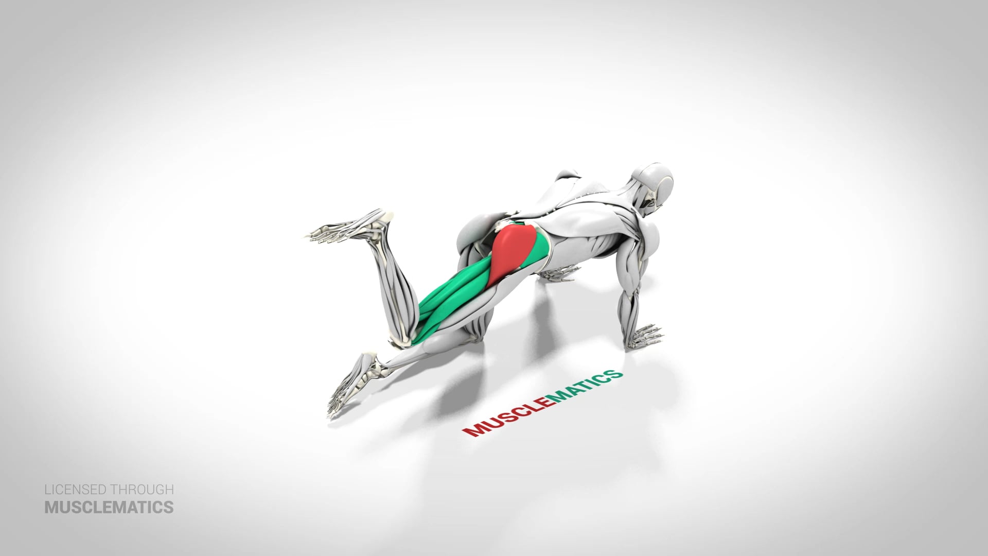 Kneeling Bent-Leg Donkey Kick - (View 2)