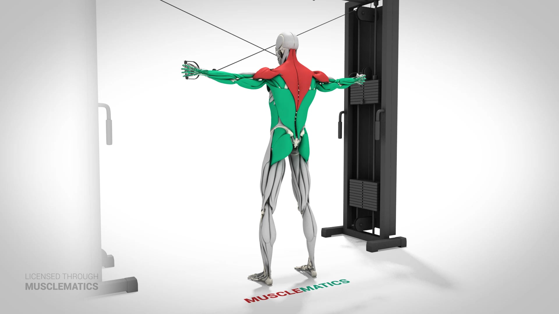 High-Pulley Lateral Extensions - (View 3)