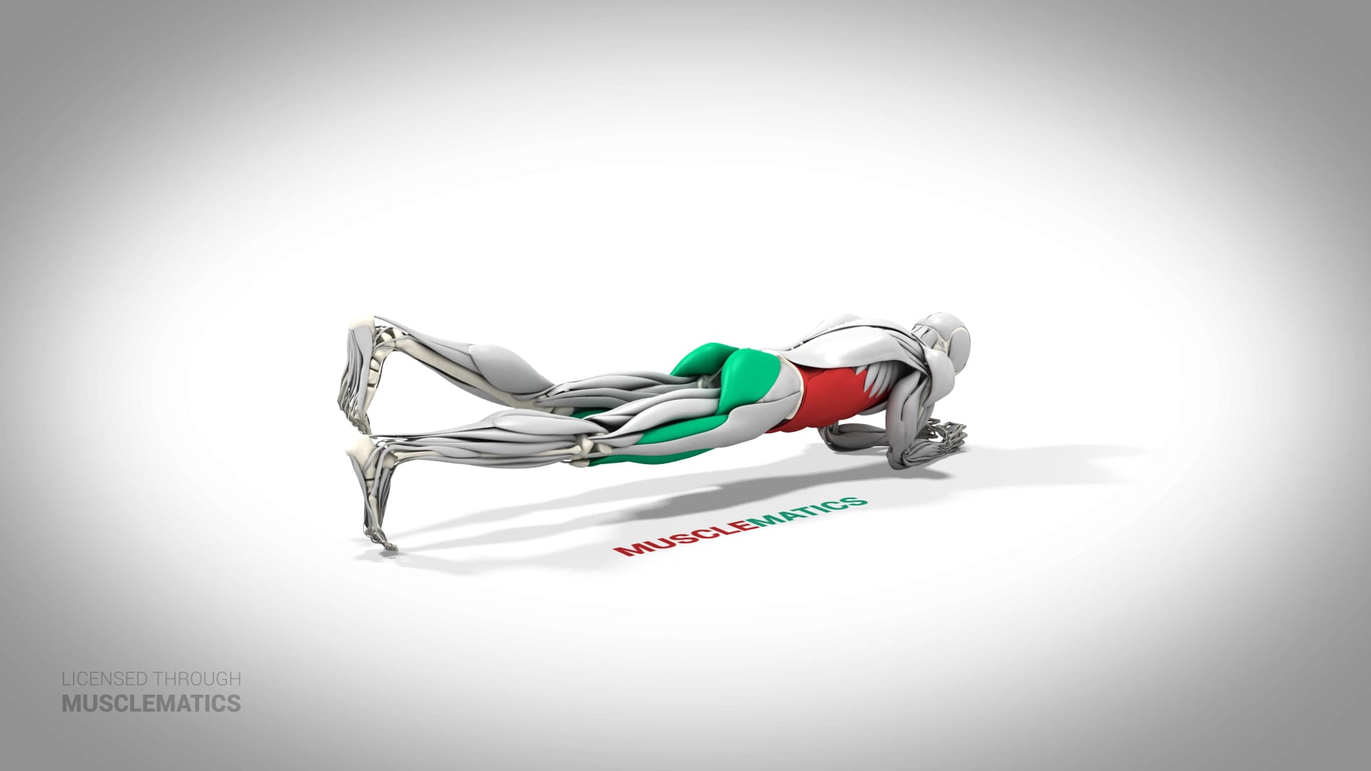 Rotating Three-Point Plank - (All Views)