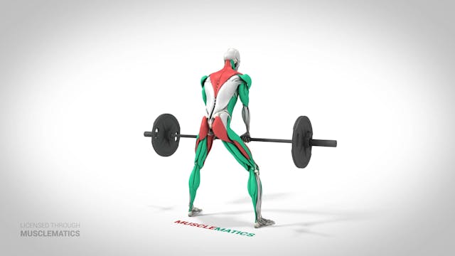 Sumo Deadlifts - (View 3)