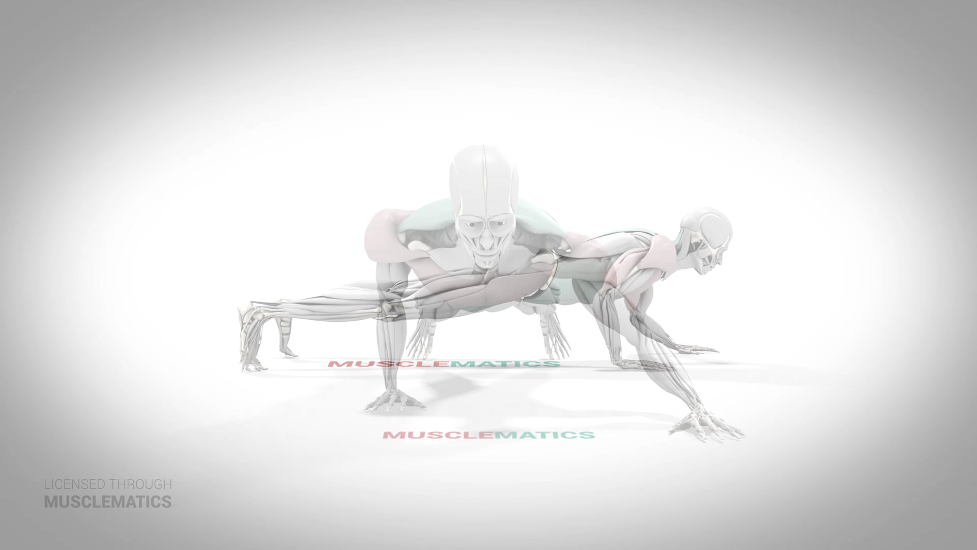 Self-Assisted One-Arm Push-Up - (All Views)