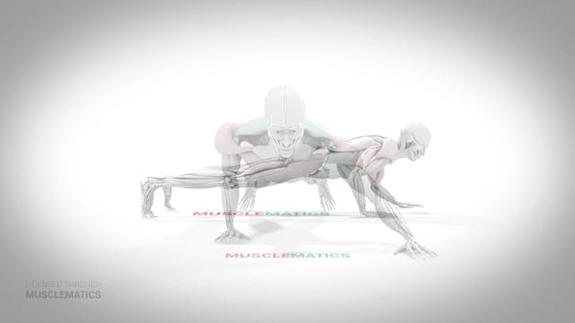 Self-Assisted One-Arm Push-Up - (All ...