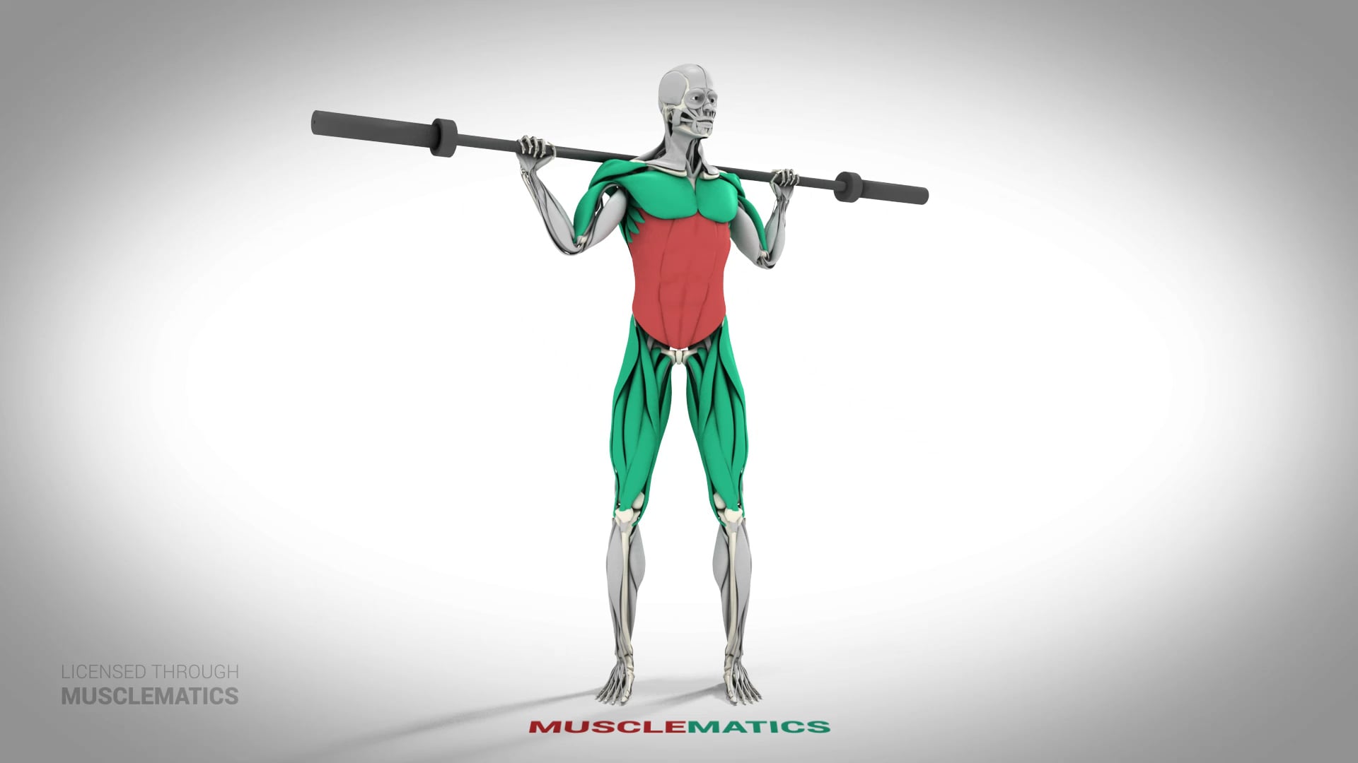 Broomstick Twists - (All Views)