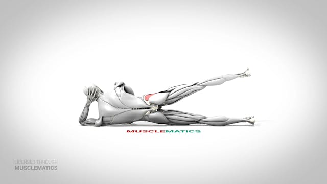 Floor Hip Abductions - (View 3)