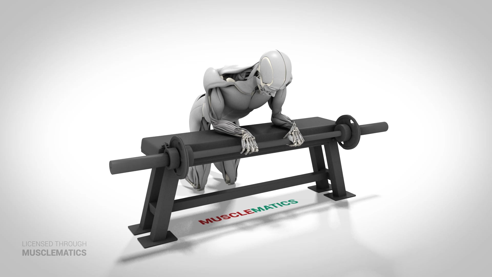 Wrist Curls - (View 1)