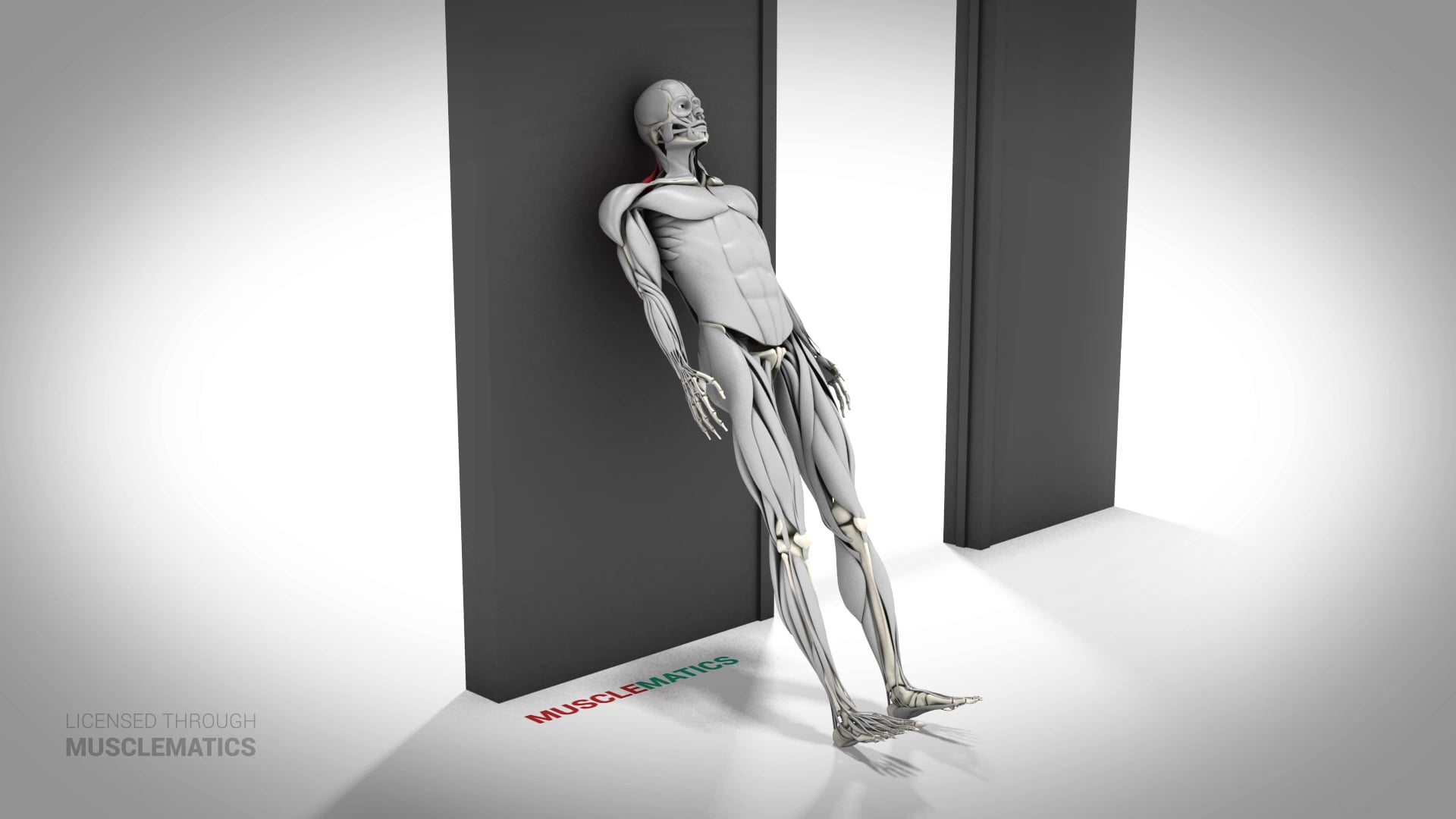 Wall Posterior Neck Isohold - (All Views)