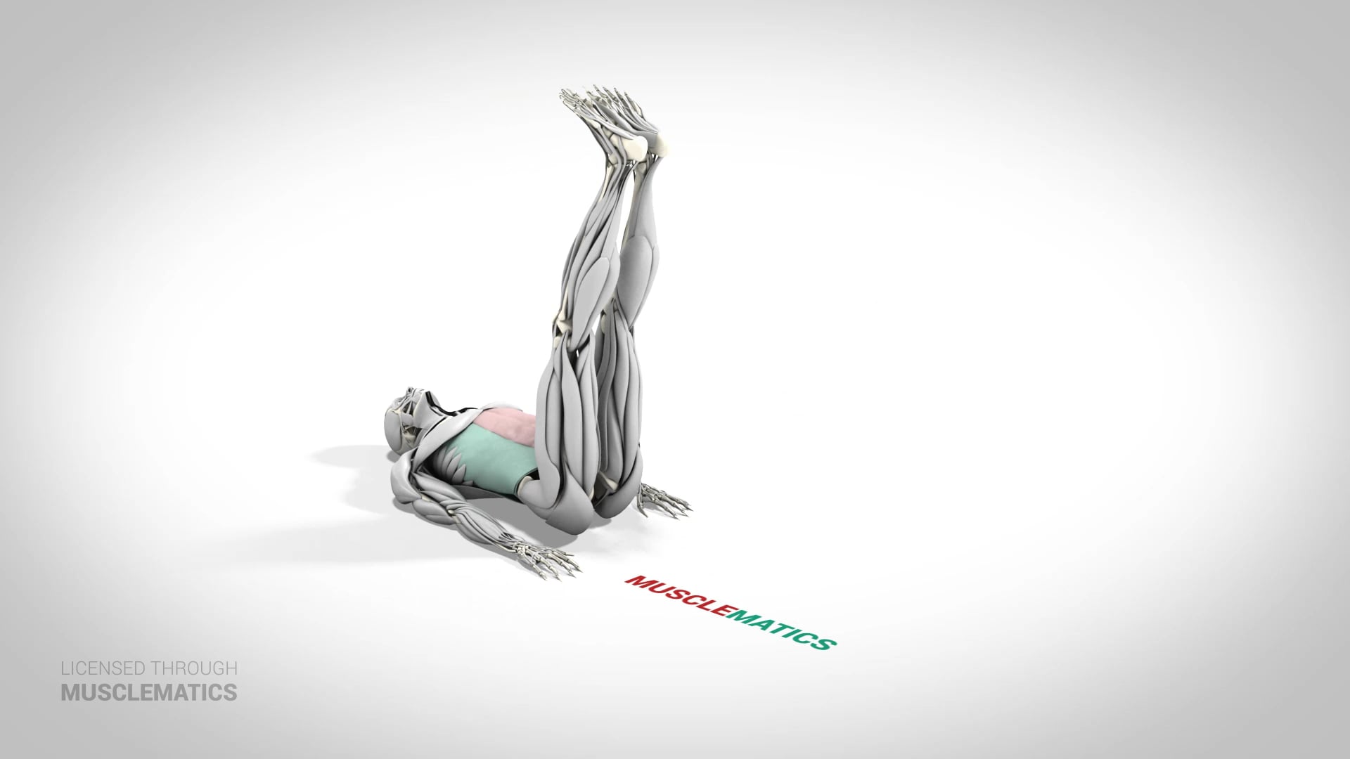 Lying Straight-Leg Raise - (View 3)