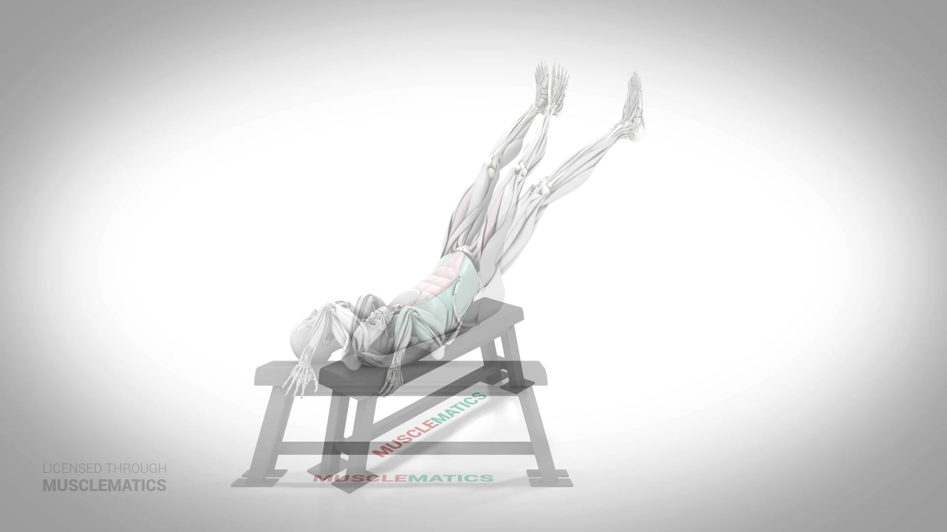 Dragon Flag - (All Views)