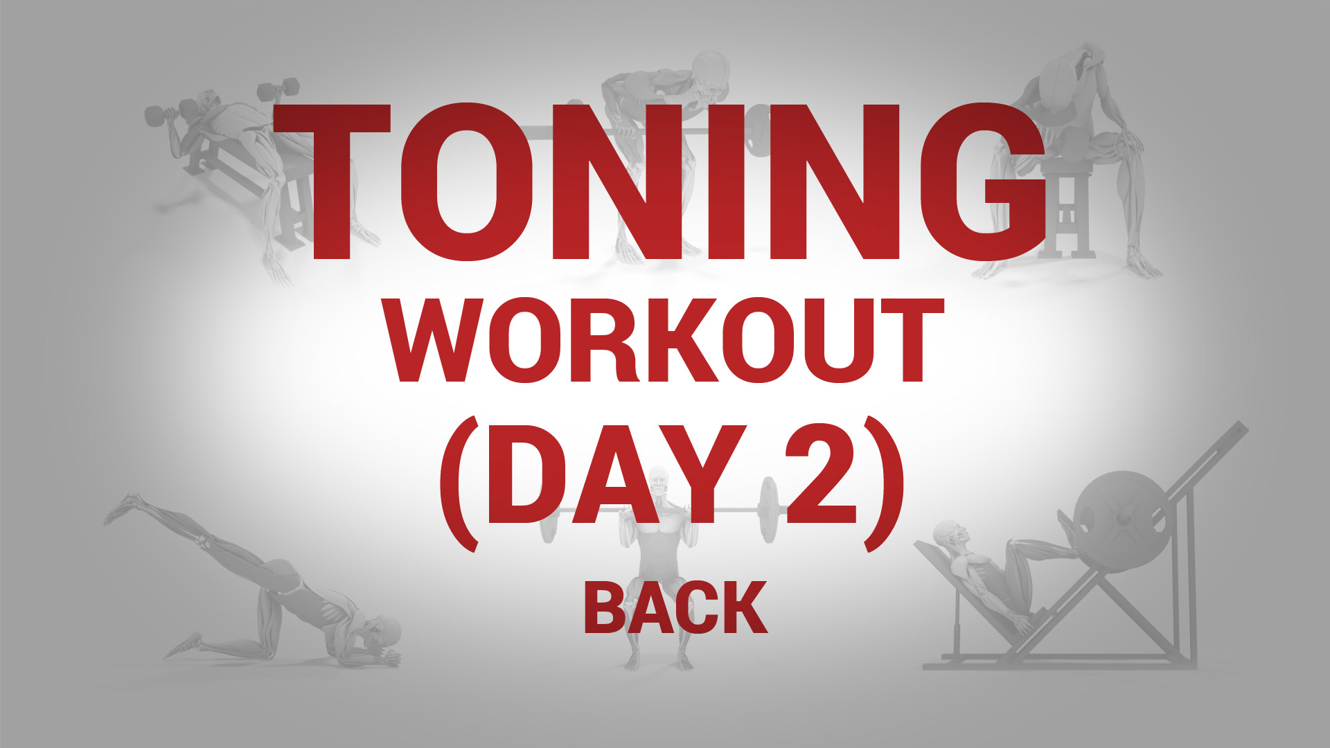 Toning Workout (Day 2) - BACK