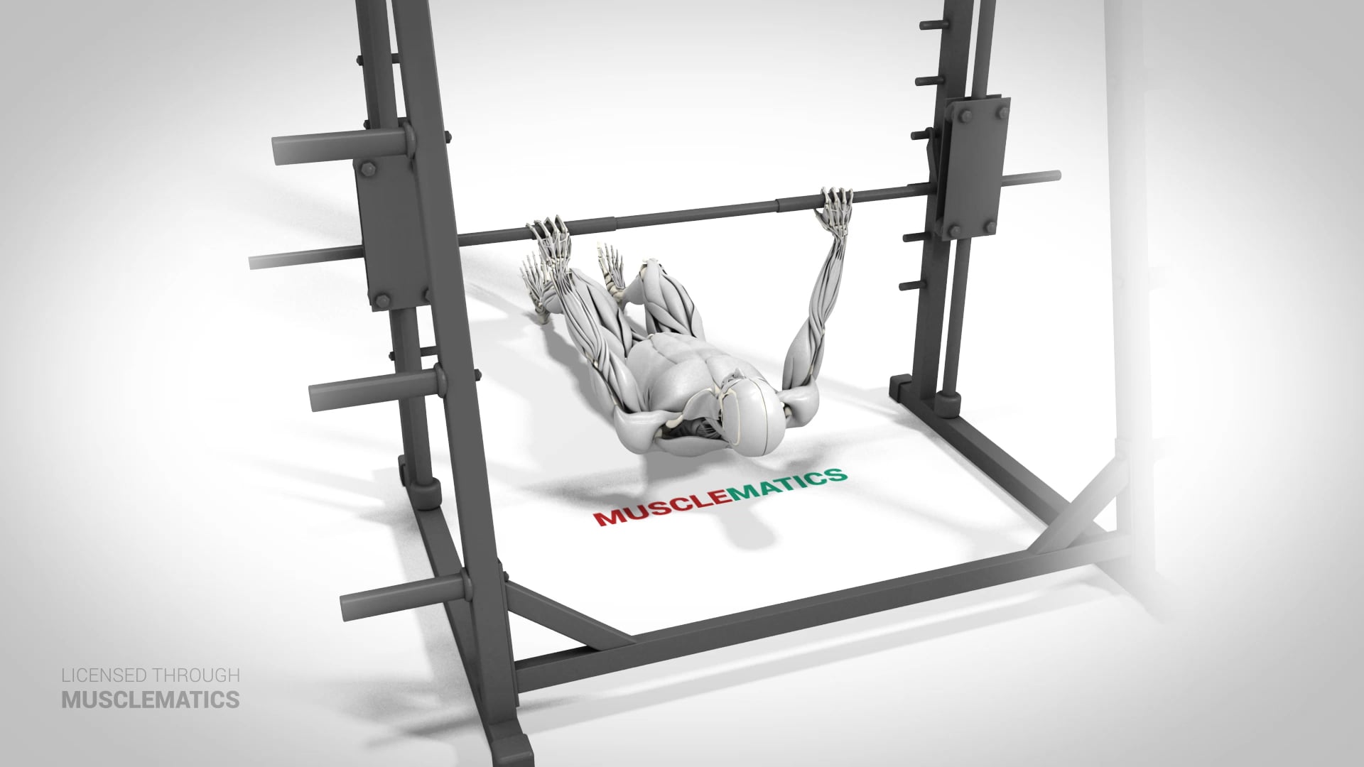 Sliding Side-To-Side Inverted Row - (View 1) - LEFT