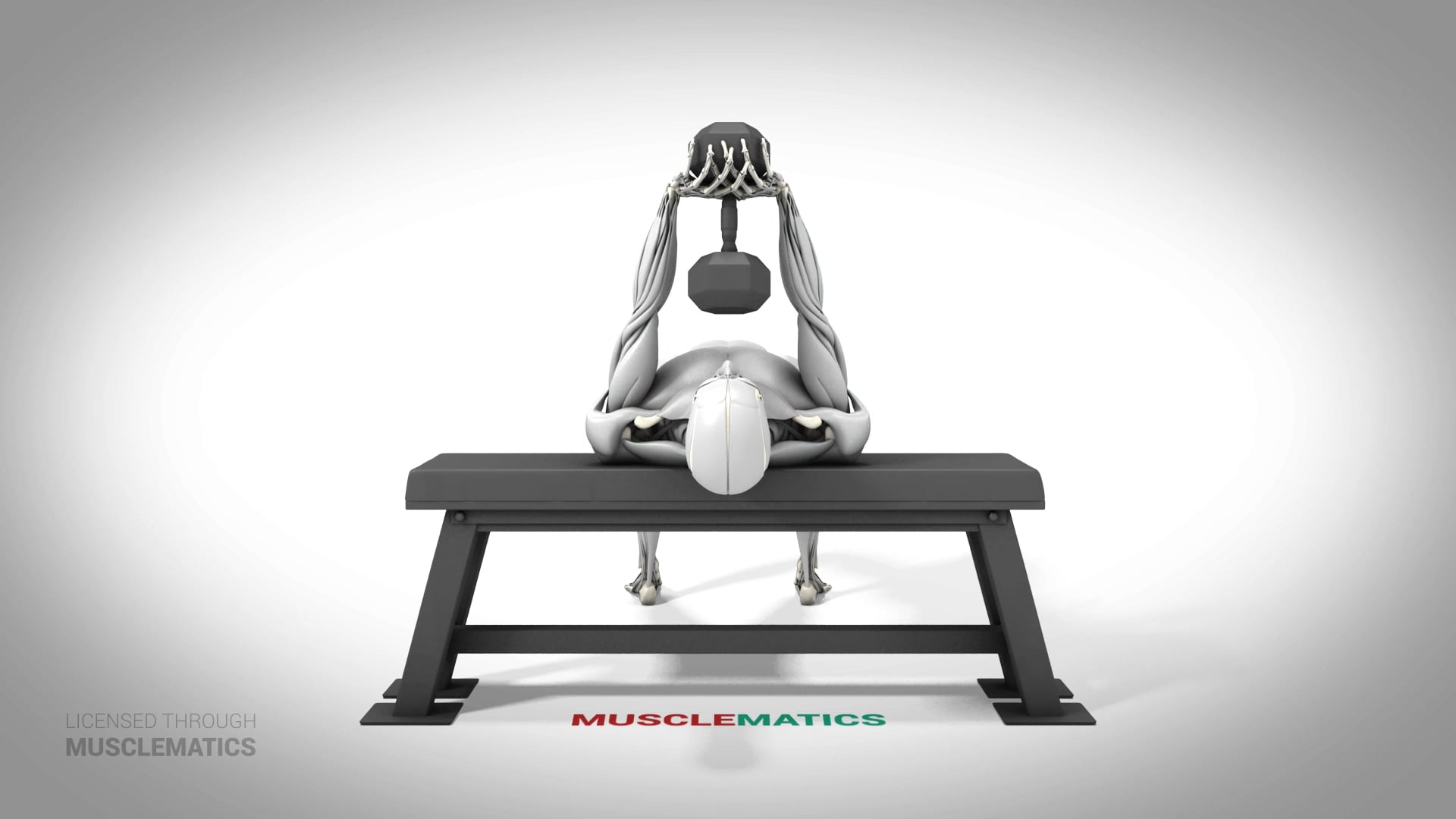 Dumbbell Pullovers - (All Views)