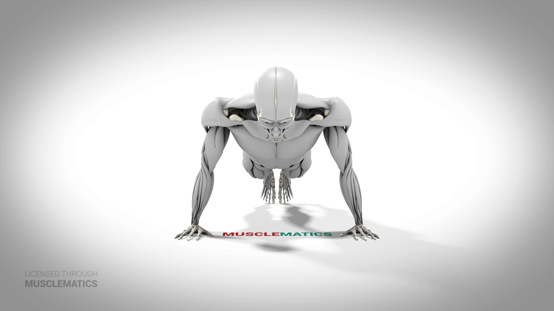 Side-To-Side Push-Up - (All Views) - LEFT