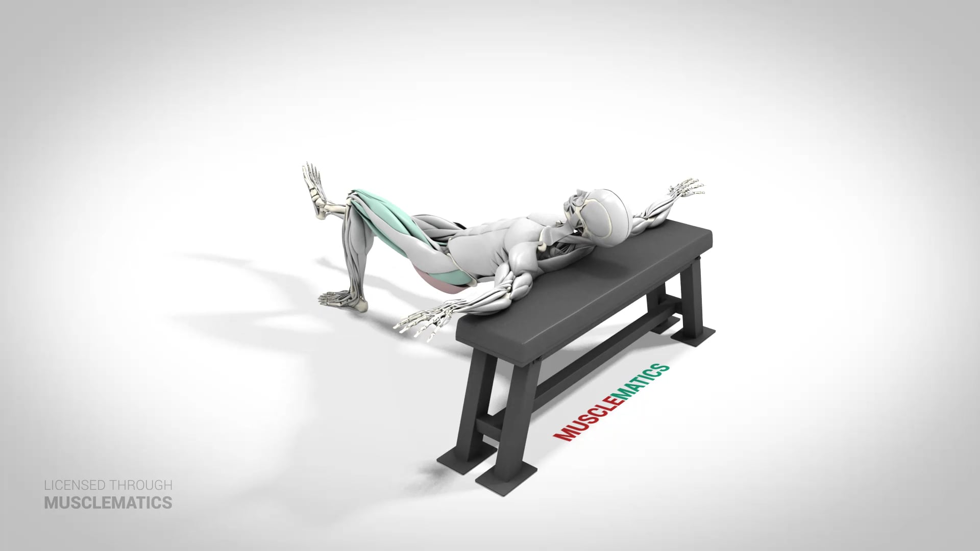 Single-Leg Incline Hip Thrust - (View 2) - LEFT