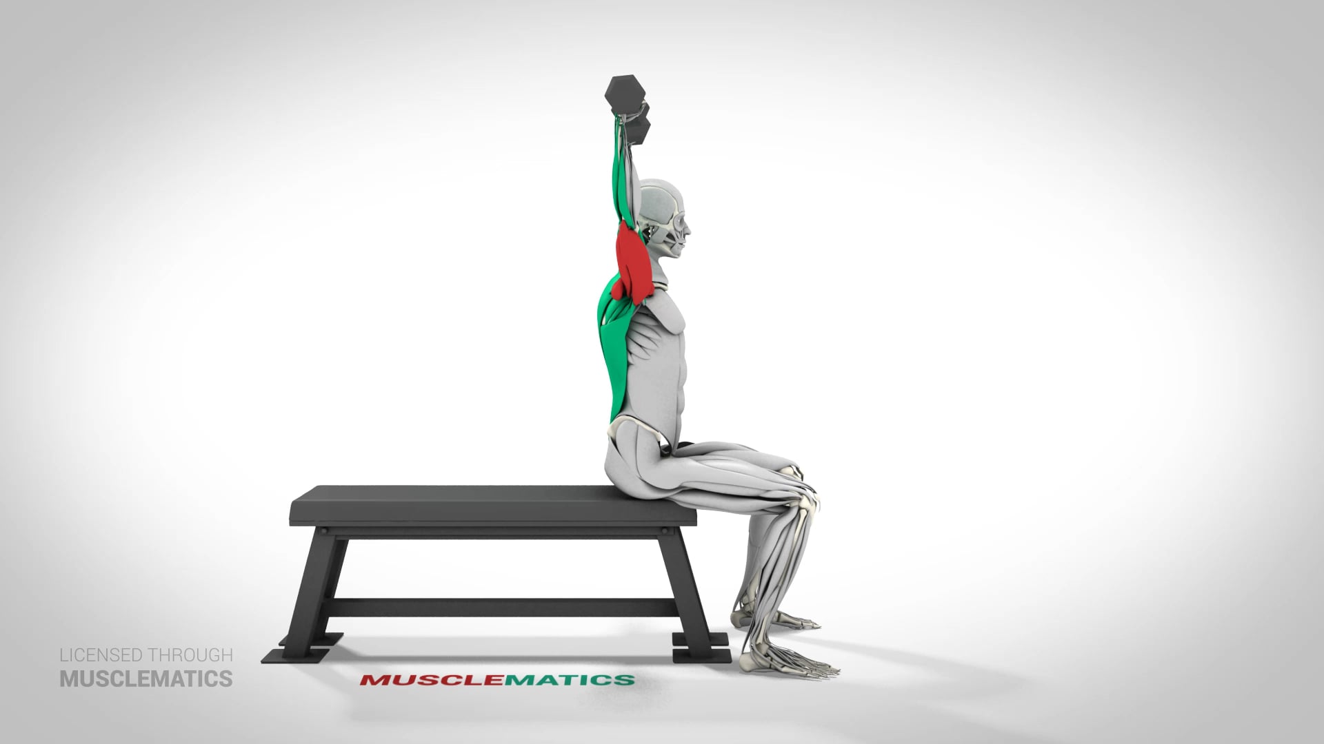 Seated Dumbbell Presses - (View 1)